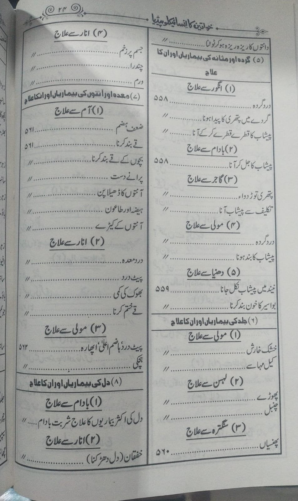 Khawateen Ka Encyclopedia<br>خواتین کا انسائیکلو پیڈیا