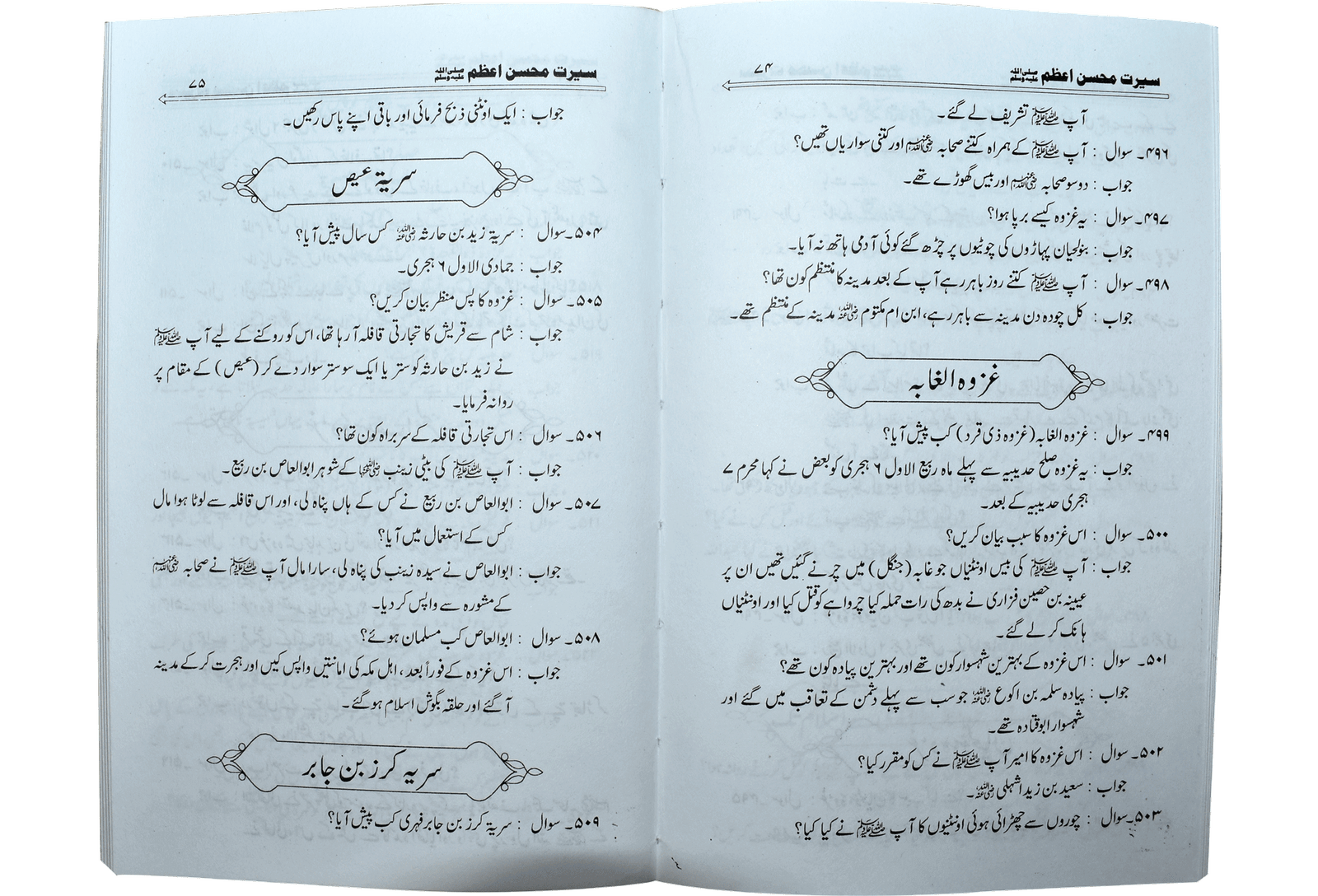 Seerat Muhsan Azam<br>سیرت محسن اعظم