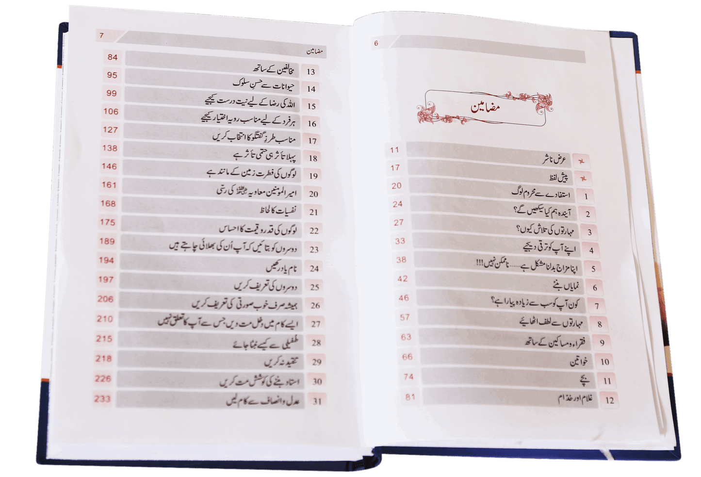 Zindagi Se Lutf Uthaye <br> زندگی سے لطف اٹهائیے