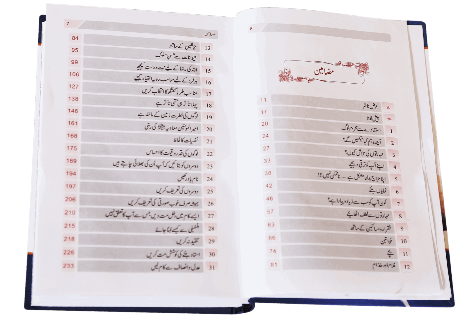 Zindagi Se Lutf Uthaye <br> زندگی سے لطف اٹهائیے