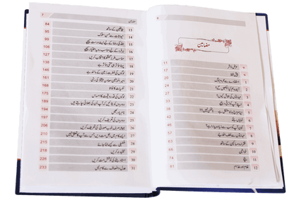 Zindagi Se Lutf Uthaye <br> زندگی سے لطف اٹهائیے