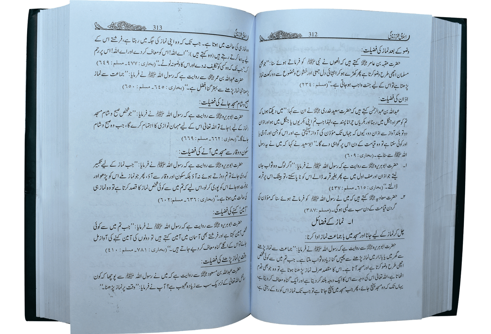 Islami Tarz E Zindgi (Jild 2)<br>اسلامی طرزِزندگی (جلد دوم)