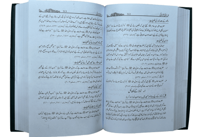 Islami Tarz E Zindgi (Jild 2)<br>اسلامی طرزِزندگی (جلد دوم)