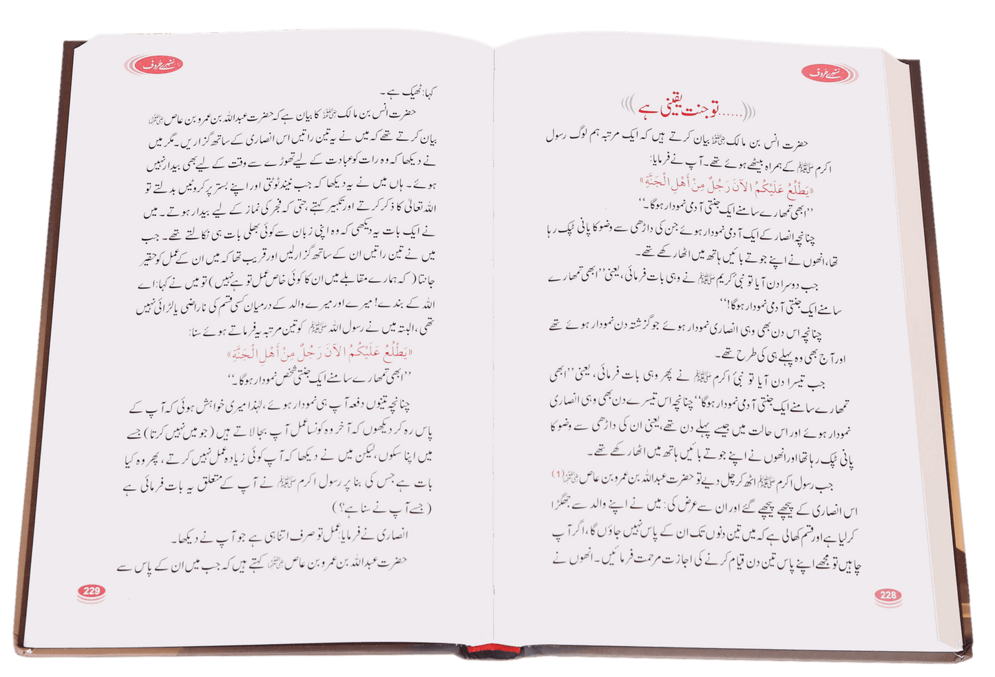 Sunehray Haroof <br>سنہرے حروف