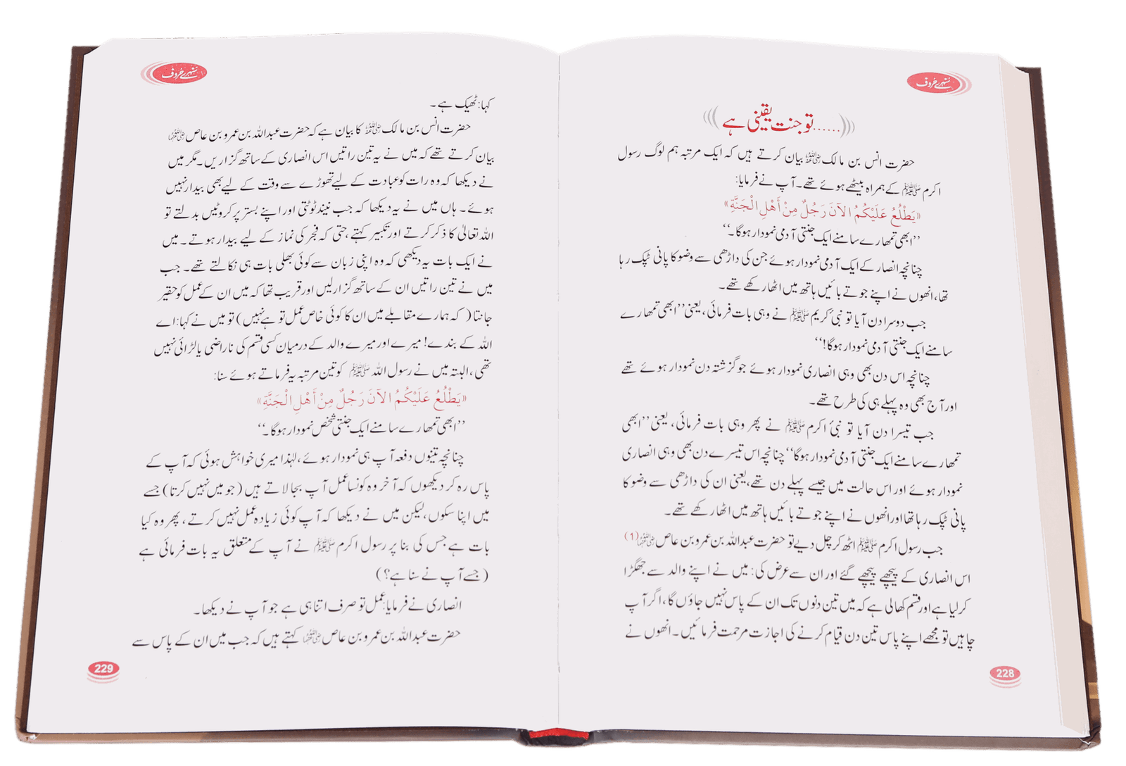 Sunehray Haroof <br>سنہرے حروف