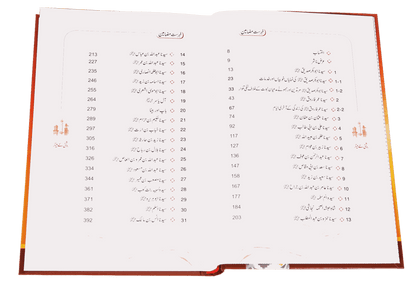 Roshni Key Minaar (Seerat-e-Sahaba)<br>روشنی کے مینار(سیرت صحابہ)