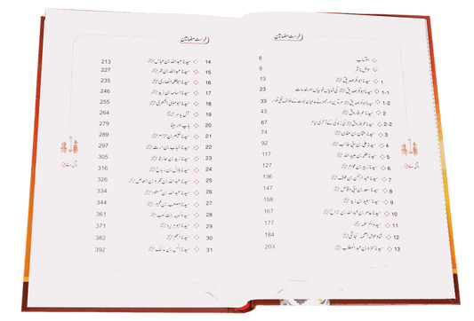 Roshni Key Minaar (Seerat-e-Sahaba)<br>روشنی کے مینار(سیرت صحابہ)