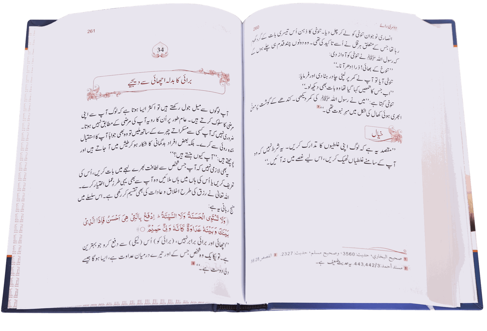 Zindagi Se Lutf Uthaye <br> زندگی سے لطف اٹهائیے