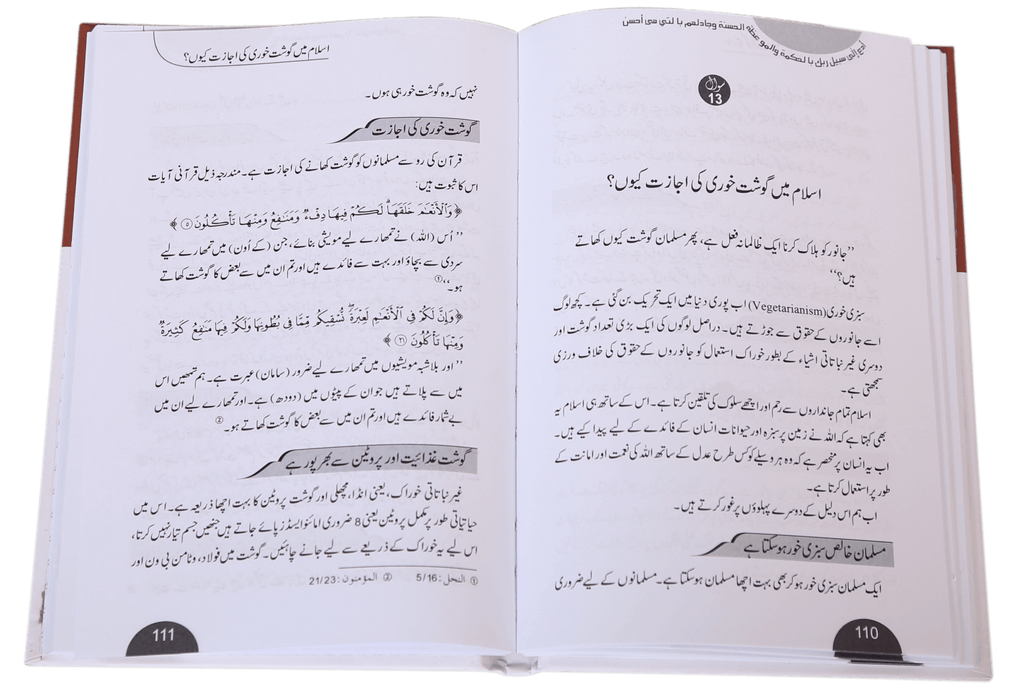 Islam par 40 Aitrazaat kay Aqli o Naqli Jawab اسلام پر 40 اعتراضات کے عقلی و نقلی جواب