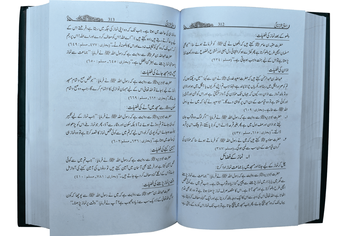 Islami Tarz-E-Zindagi<br>(جلد 1)اسلامی طرززندگی