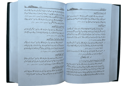 Islami Tarz-E-Zindagi<br>(جلد 1)اسلامی طرززندگی