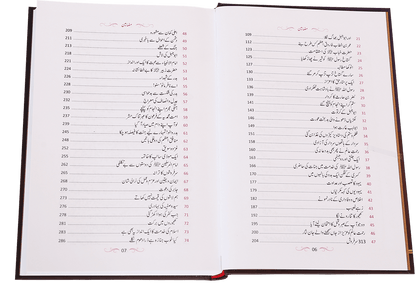 Aftab-E-Nabuwat Ki Sunehri Shuain<br>آفتاب نبوت کی سنہری شعاعیں