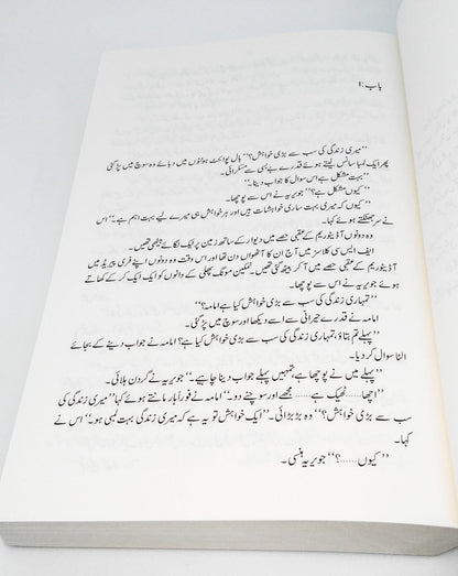 Peer-e-Kamil<br>پیر کامل