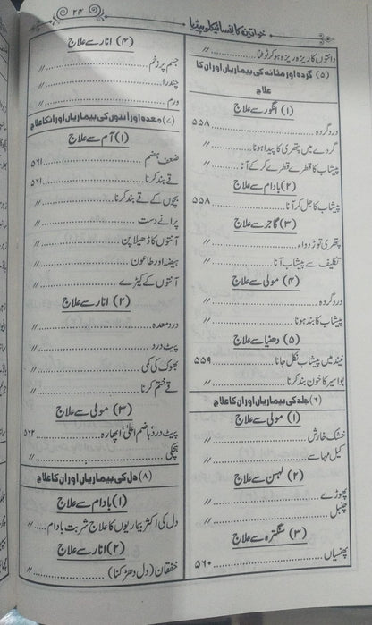 Khawateen Ka Encyclopedia<br>خواتین کا انسائیکلو پیڈیا