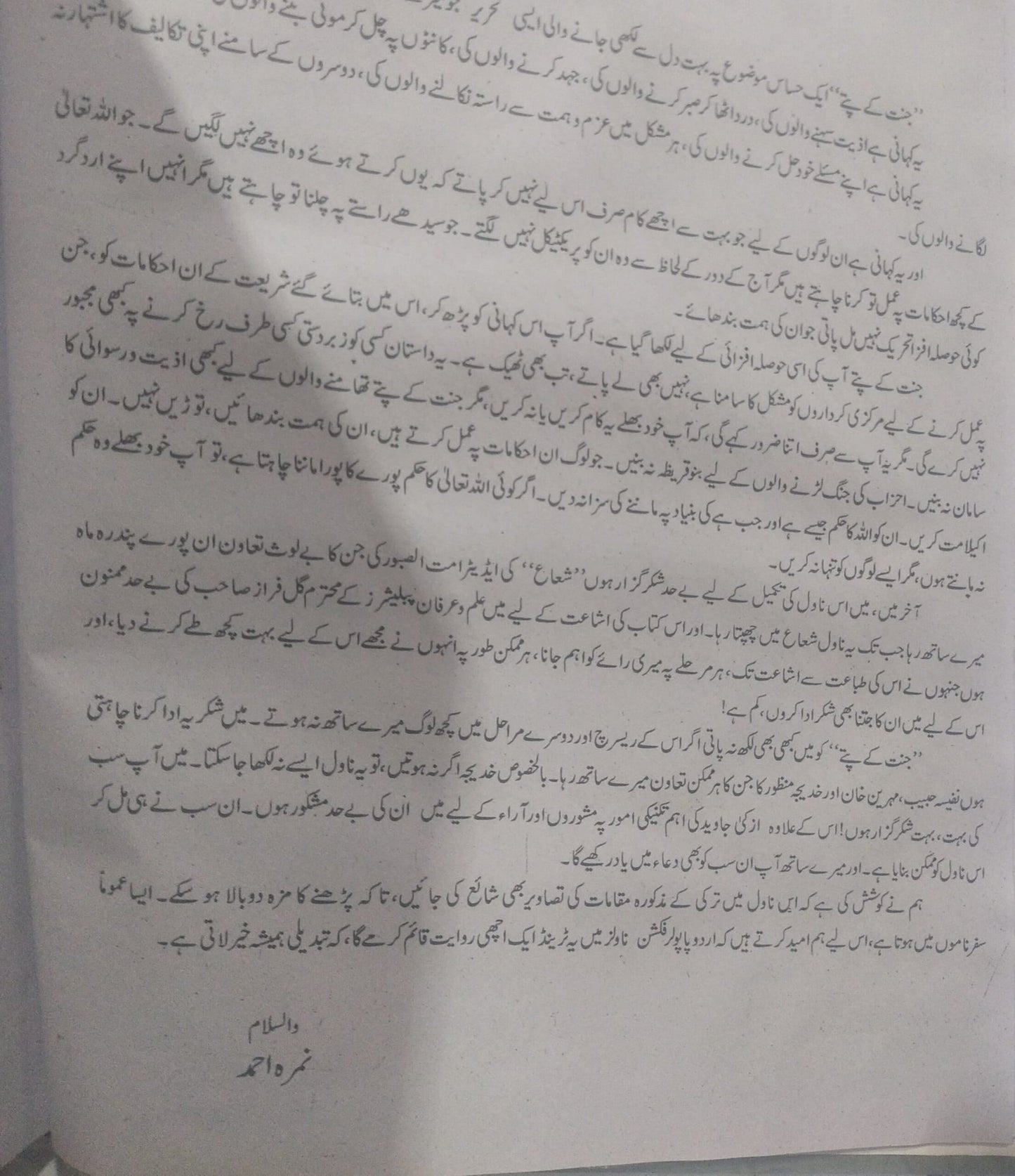 Jannat K Patty<br>جنت کے پتے