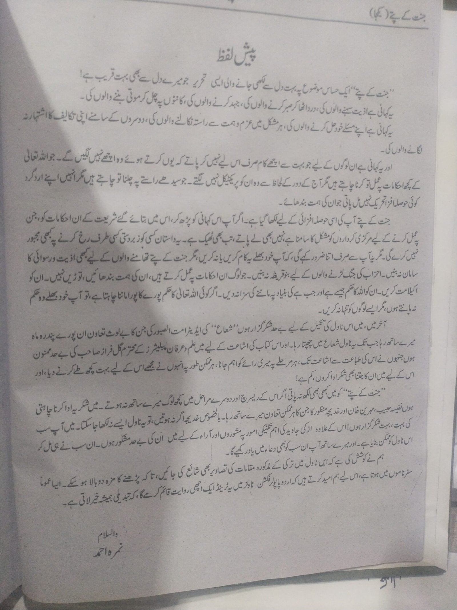 Jannat K Patty<br>جنت کے پتے