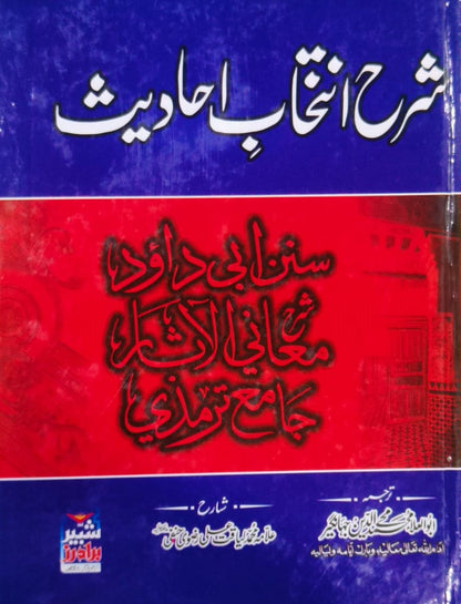 Tanzeem Ul Madaris Almia Sal e Doem (Bannat) <br> تنظیم المدارس (عالمیہ سالِ دوم بنات)