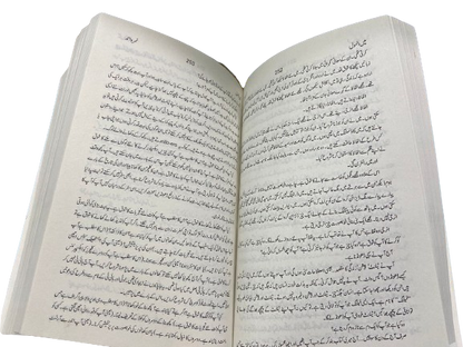 Main Anmol<br>میں انمول