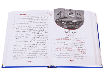 Qisas al Anbiya<br>قصص الانبیاء