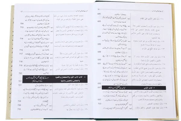 Riyad us-Saliheen 2 Vol. Set<br>ریاض الصالحین مکمل 2 سیٹ