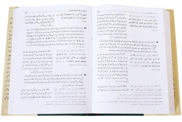 Riyad us-Saliheen 2 Vol. Set<br>ریاض الصالحین مکمل 2 سیٹ