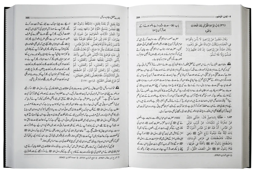 Hidayat Al Qari Sharh Sahih Al Bukhari  (10 Vol. Complete Set)<br>ہدایۃ القاری شرح صحیح البخاری - 10 جلدیں سیٹ