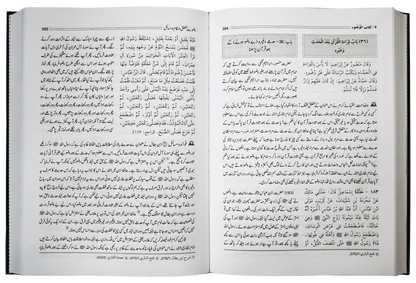 Hidayat Al Qari Sharh Sahih Al Bukhari  (10 Vol. Complete Set)<br>ہدایۃ القاری شرح صحیح البخاری - 10 جلدیں سیٹ