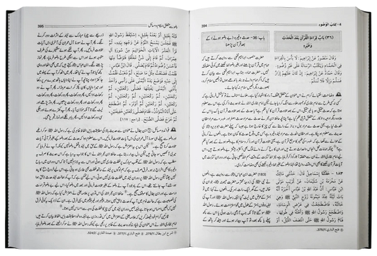 Hidayat Al Qari Sharh Sahih Al Bukhari  (10 Vol. Complete Set)<br>ہدایۃ القاری شرح صحیح البخاری - 10 جلدیں سیٹ