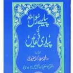 Pyary Rasool ki Payari Duain (Pocket) Normal<br>پیارے رسول کی پیاری دعائیں(پاکٹ سائز)نارمل